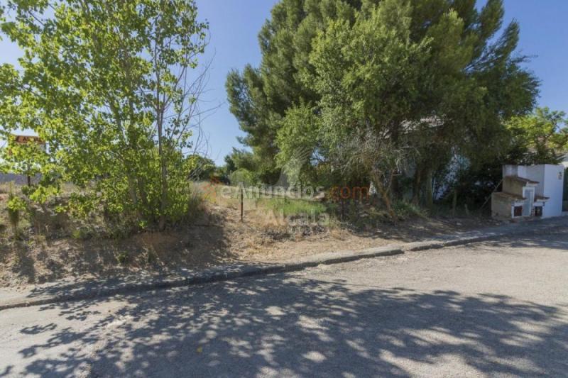 Parcela Rustica en venta en  Lillo