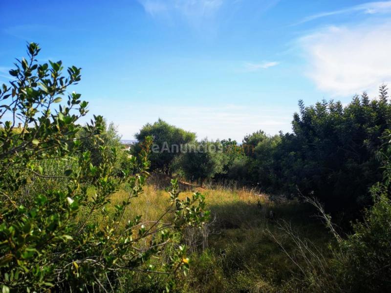 Parcela Rustica en venta en  Sa Cova baixa, Sa Cabaneta, Marratxi