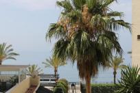 Apartamento en venta en  Marbella Pueblo, Marbella