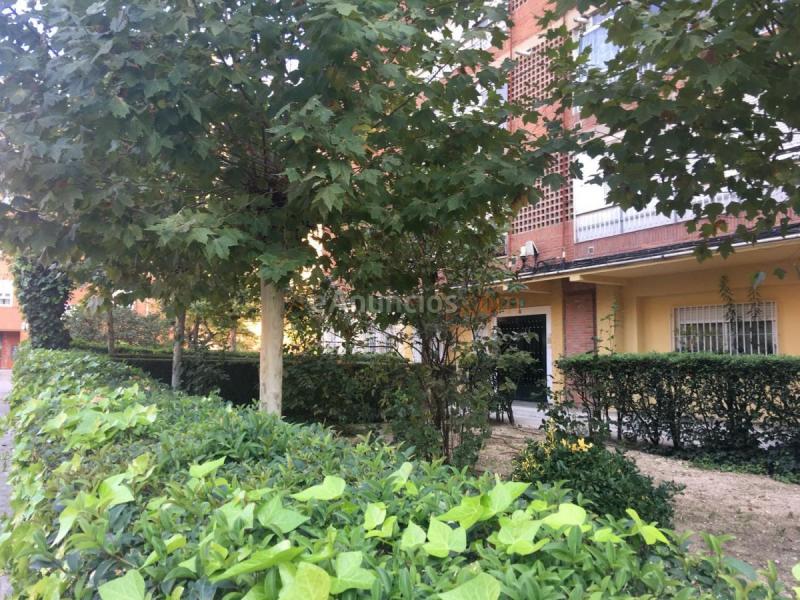 Apartamento en alquiler en Calle Concepción, Puente de Vallecas, Madrid