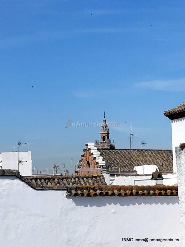 Apartamento en alquiler en Calle tintes, Centro, Sevilla