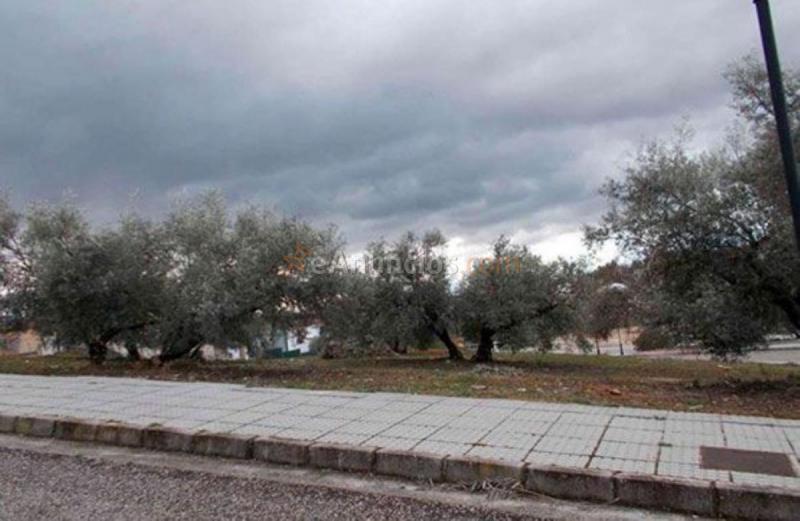 Parcela Rustica en venta en Calle Purísimo Corazón de María, Archidona