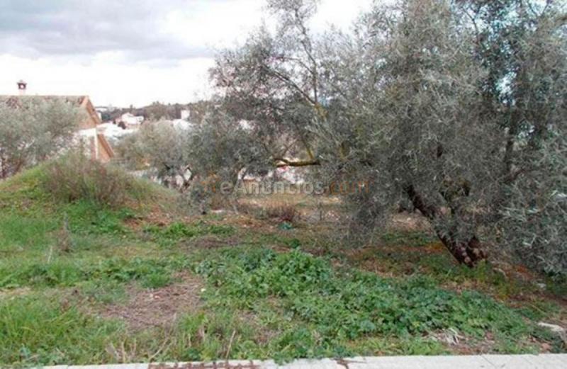 Parcela Rustica en venta en Calle Purísimo Corazón de María, Archidona