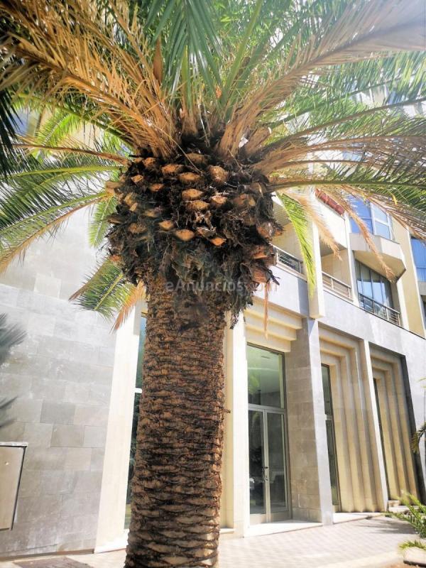 Apartamento en venta en Calle Bravo Murillo, La Salud-La Salle, Santa Cruz de Tenerife