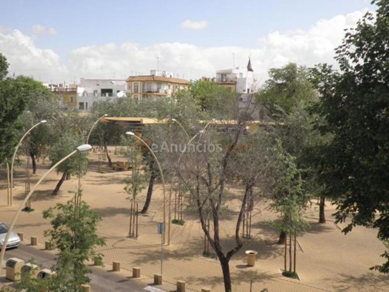 Apartamento en alquiler en Alameda de Hércules, Centro, Sevilla