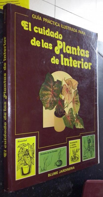 Guía práctica ilustrada para el cuidado de las plantas de interior