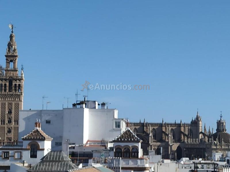 Habitaciones centro- historico de sevilla. Casa señoria