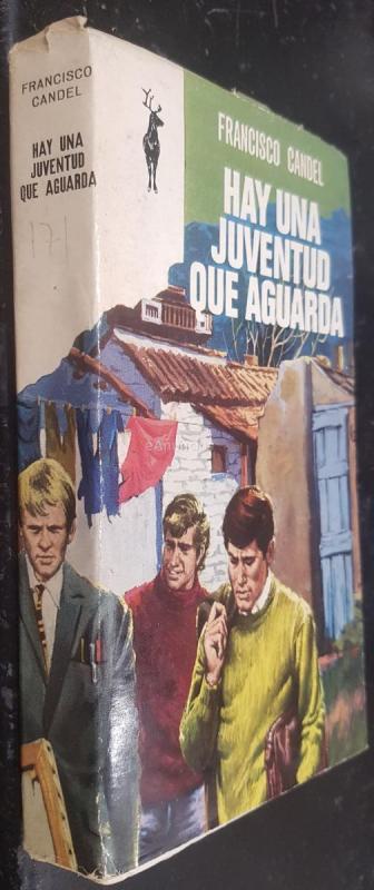 Hay una juventud que aguarda