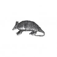 Pin large armadillo