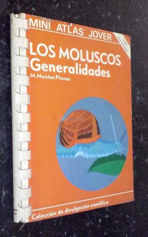 Los moluscos. Generalidades