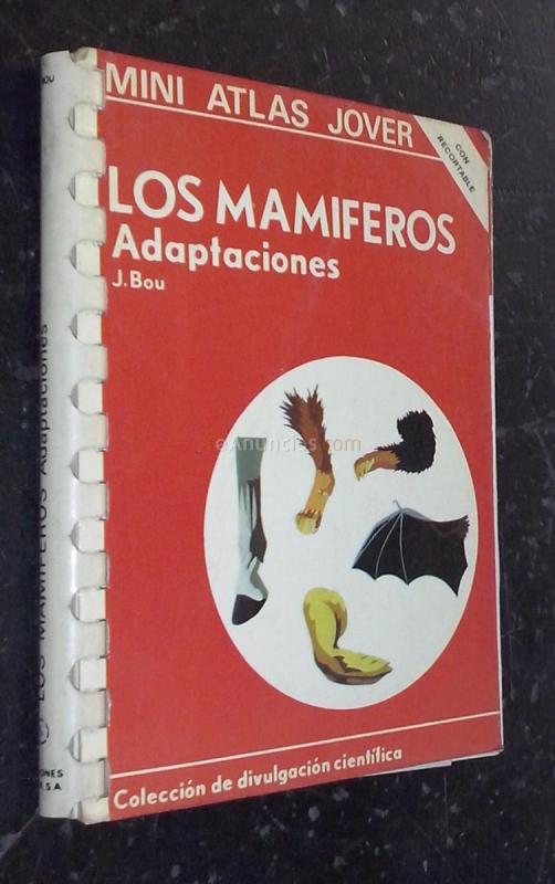 Los mamíferos. Adaptaciones