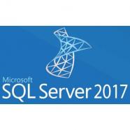 Microsoft - SQL Server 2017 Standard - 22137803