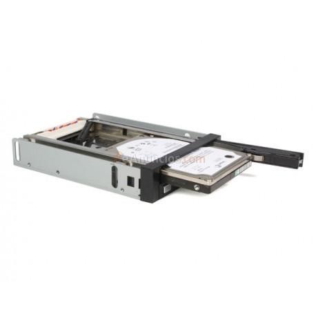 StarTech.com - Rack Móvil Backplane de 2 Discos Duros HDD SATA 2,5 Pulgadas sin Bandeja Bahía 3,5