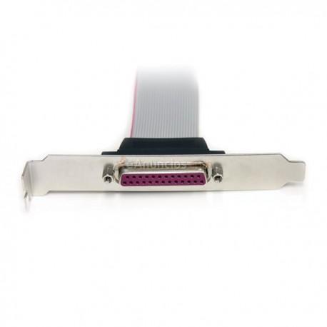 StarTech.com - Tarjeta Adaptadora PCI de 2 Puertos Serie DB9 UART 16C1050 y 2 Puertos Paralelo - Serial Combo