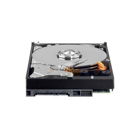 Western Digital - AV-GP 3.5 1000 GB Serial ATA III