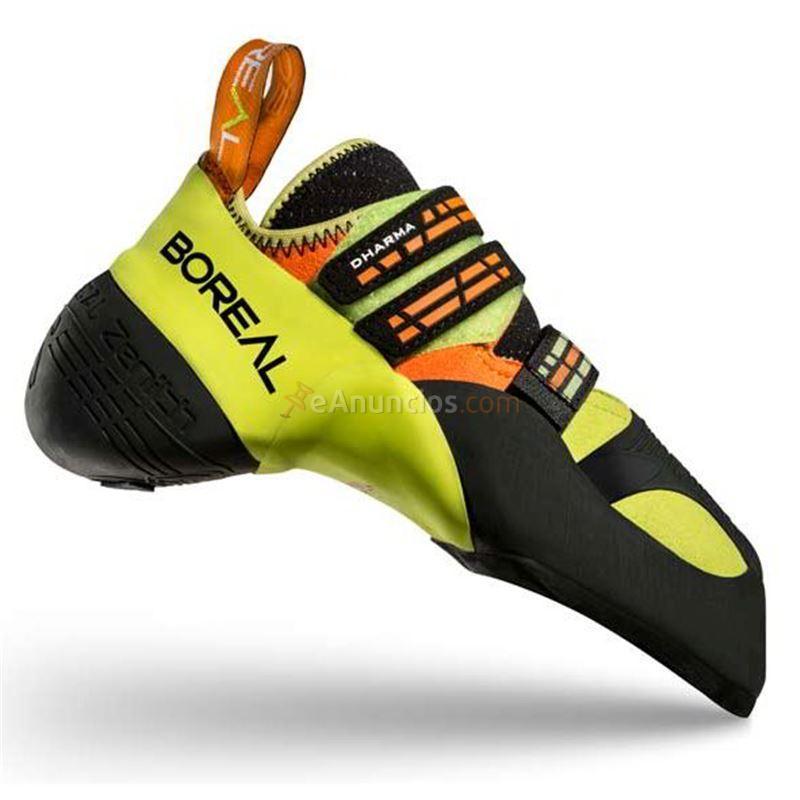 Pies de Gato Boreal DHARMA 2019