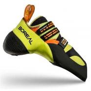 Pies de Gato Boreal DHARMA 2019