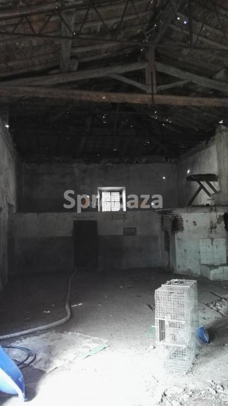 Venta de Almazara en Lagartera