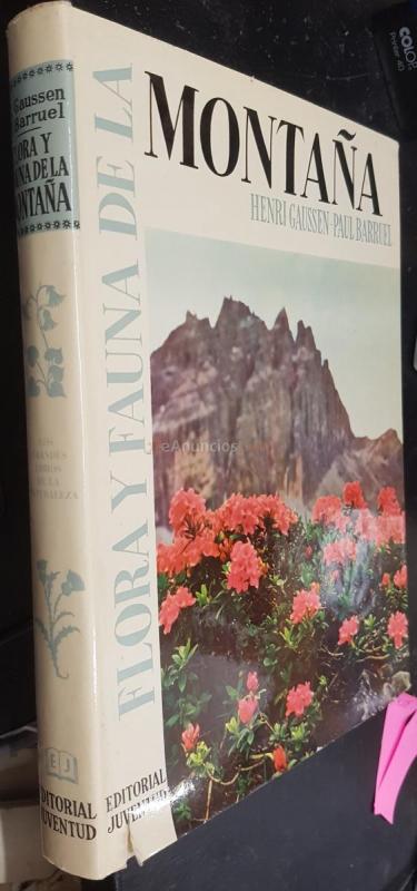 Flora y fauna de la montaña