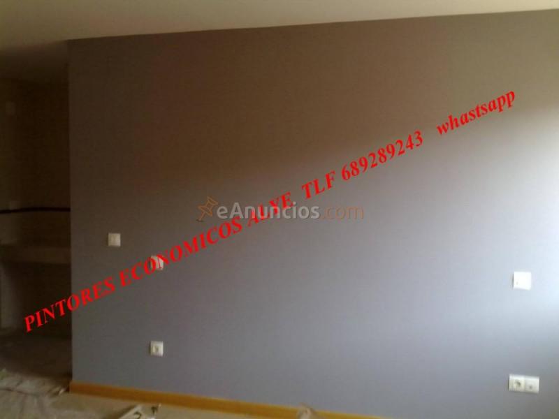 pintores economicos en seseña 689289243 alye