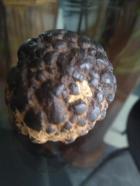 Parece un meteorito está derretido