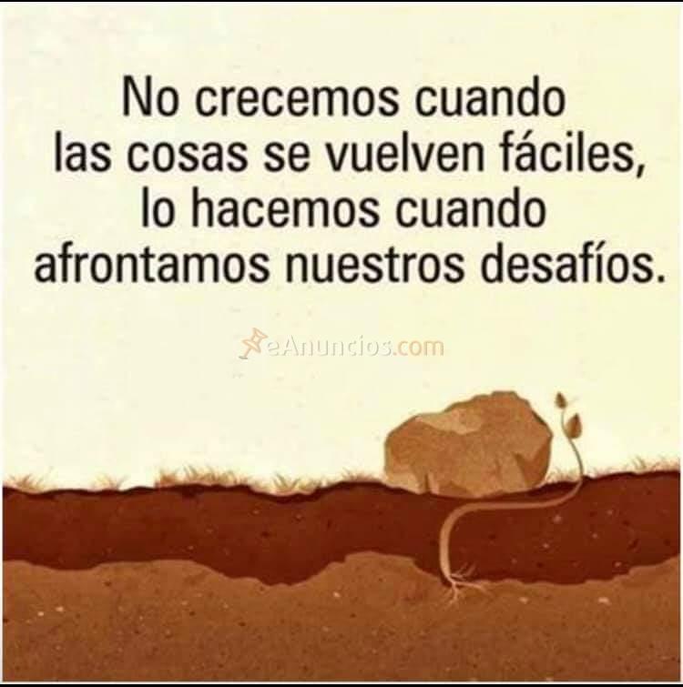 Preparación opos infantil éxito