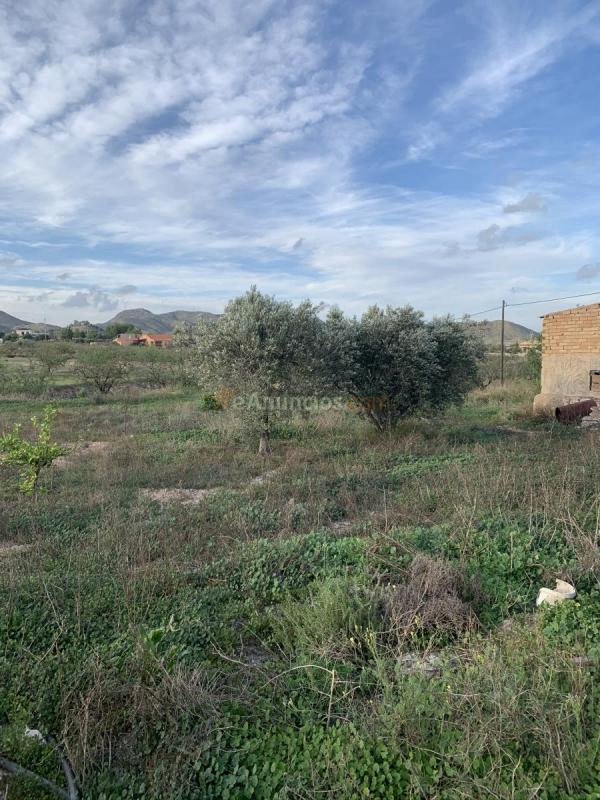 Se vende casa con terreno en cuesta blanca cartagena