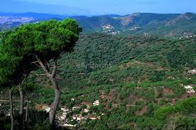 Fincas rústicas zona Mataró Dosrius