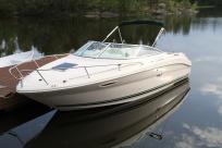 Embarcación sea ray