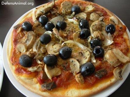 Chef y cocineros para restaurante vegano