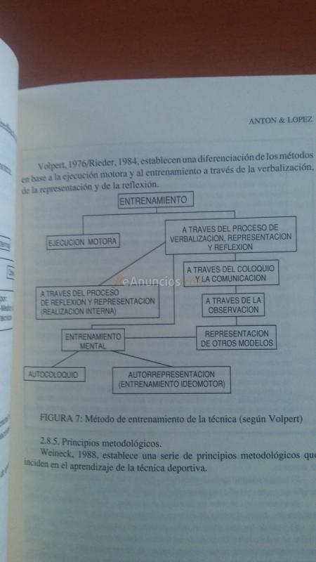 Entrenamiento deportivo en edad escolar. Libro 308 pág.