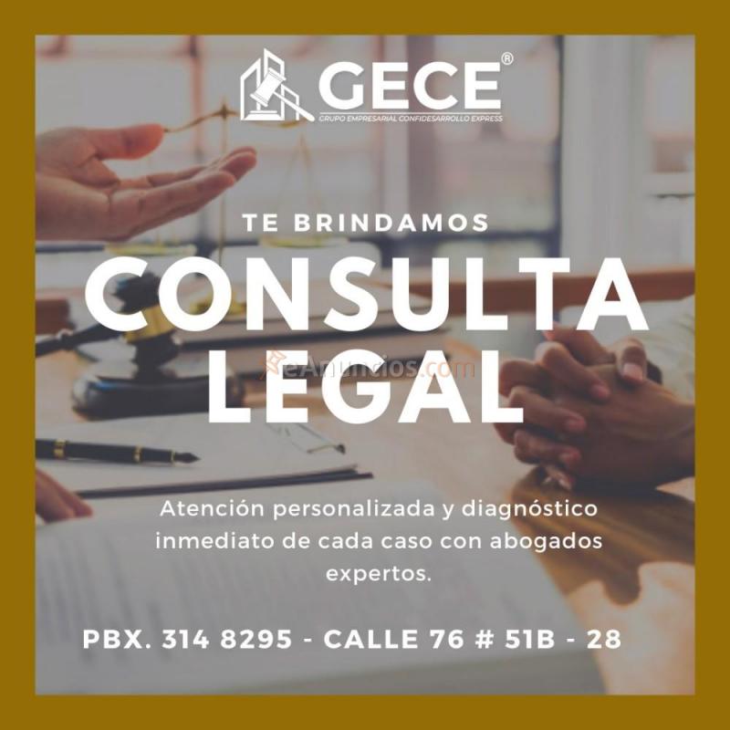 GECE grupo empresarial confidesarrollo express s.a.s.