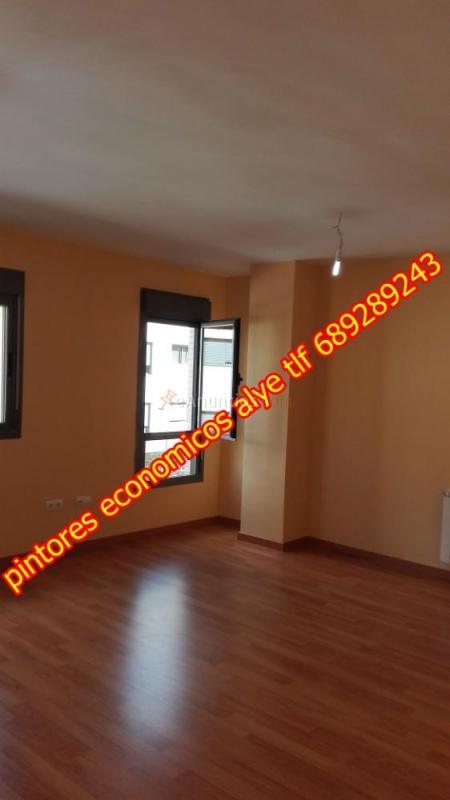 pintores economicos en majadahonda 689289243 alye