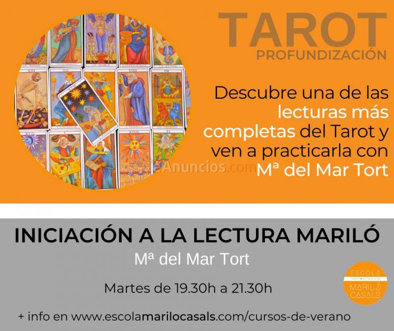 Nuevo curso verano iniciación a la lectura mariló -ZOOM