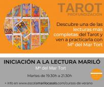 Nuevo curso verano iniciación a la lectura mariló -ZOOM