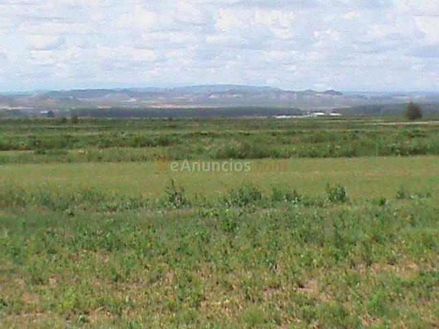 cotos de caza en pina de ebro (zaragoza)