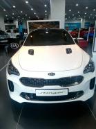 Kia Stinger 2.0T-GDI GT LINE 