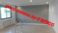pintores economicos en illescas 689289243 alye