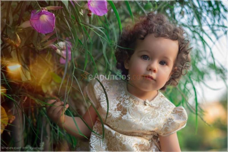 Fotógrafo económico