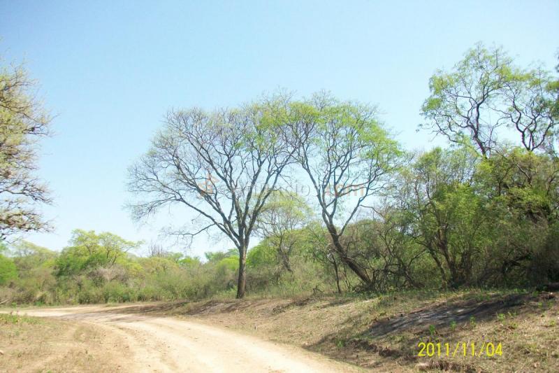 Vendo campo en Argentina 8700ha