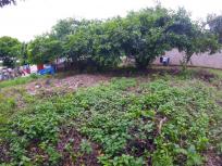 Forsaleventa de terreno en nindiri-masaya.