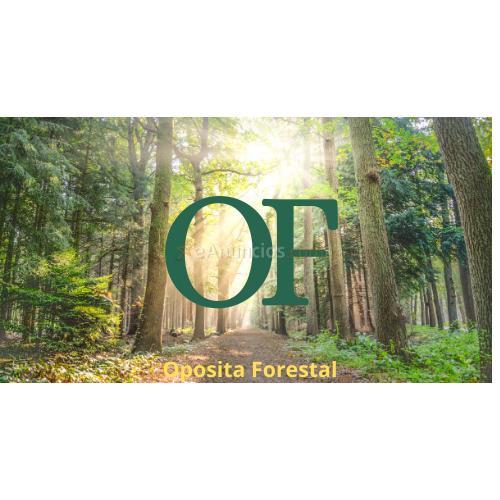 Agentes forestales. Comunidad de madrid y andalucia