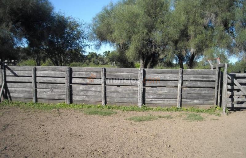 Finca en venta la susana.