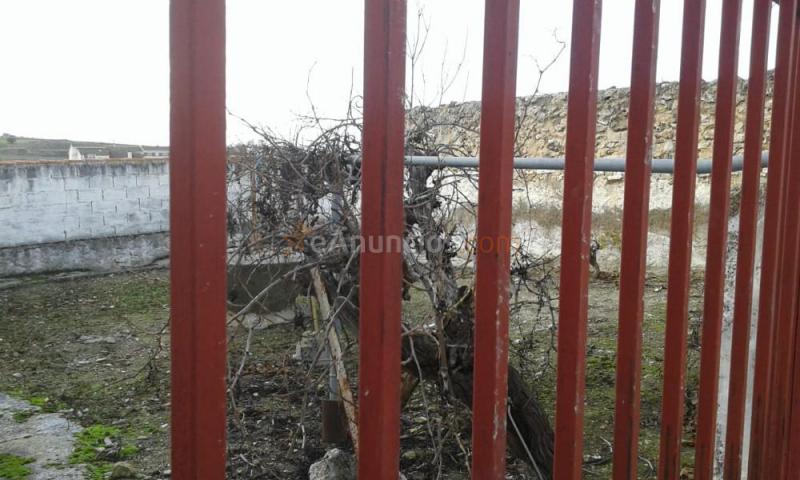 Vendo parcela en Mazuecos (Guadalajara, España)