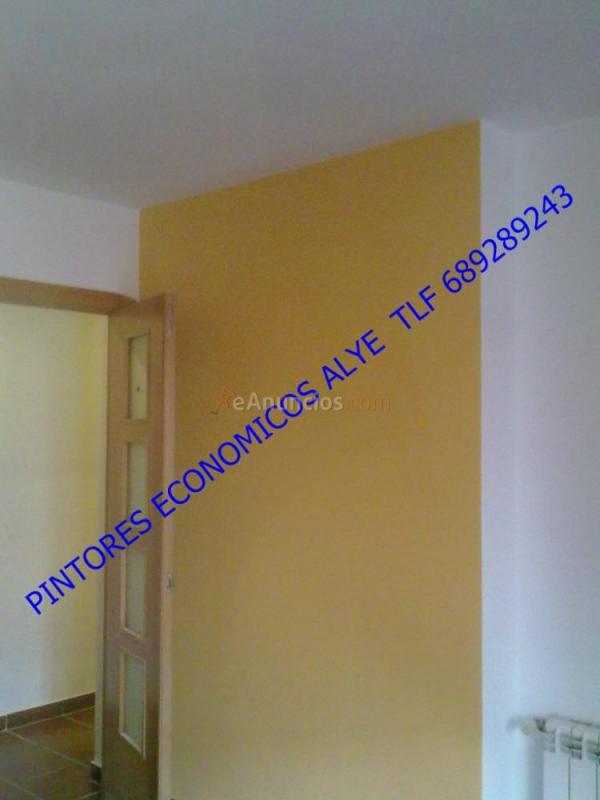 pintores economicos en mostoles 689289243 alye