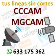 Lineas cccam