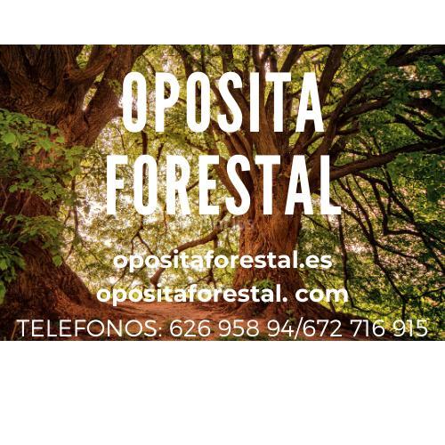 Se preparan oposiciones de medio ambiente