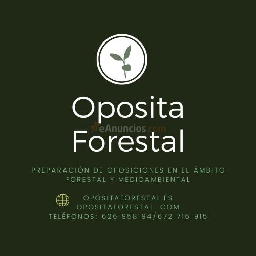 Oposicion ingeniero tecnico forestal aragon