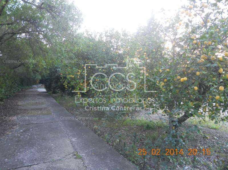 Venta de Chalet de 400 m2 construidos en una parcela de 2.560 m2