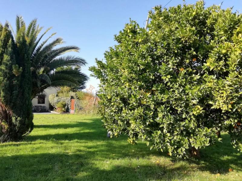 Adosado en venta en  Somió - Cabueñes, Gijón